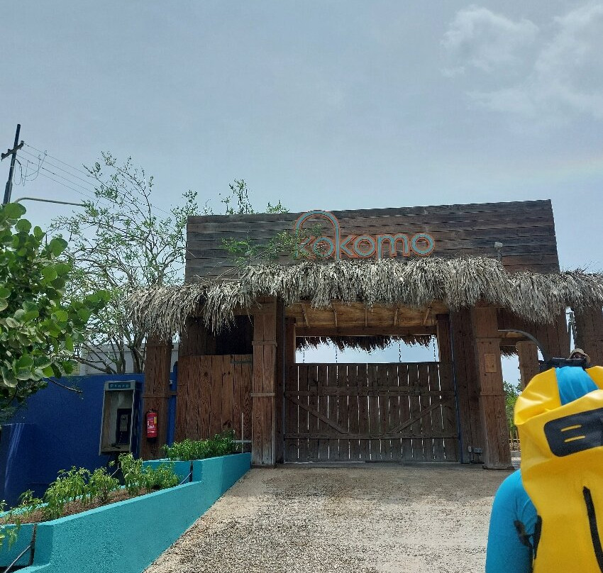 Kokomo Beach-威廉斯塔德必去景点