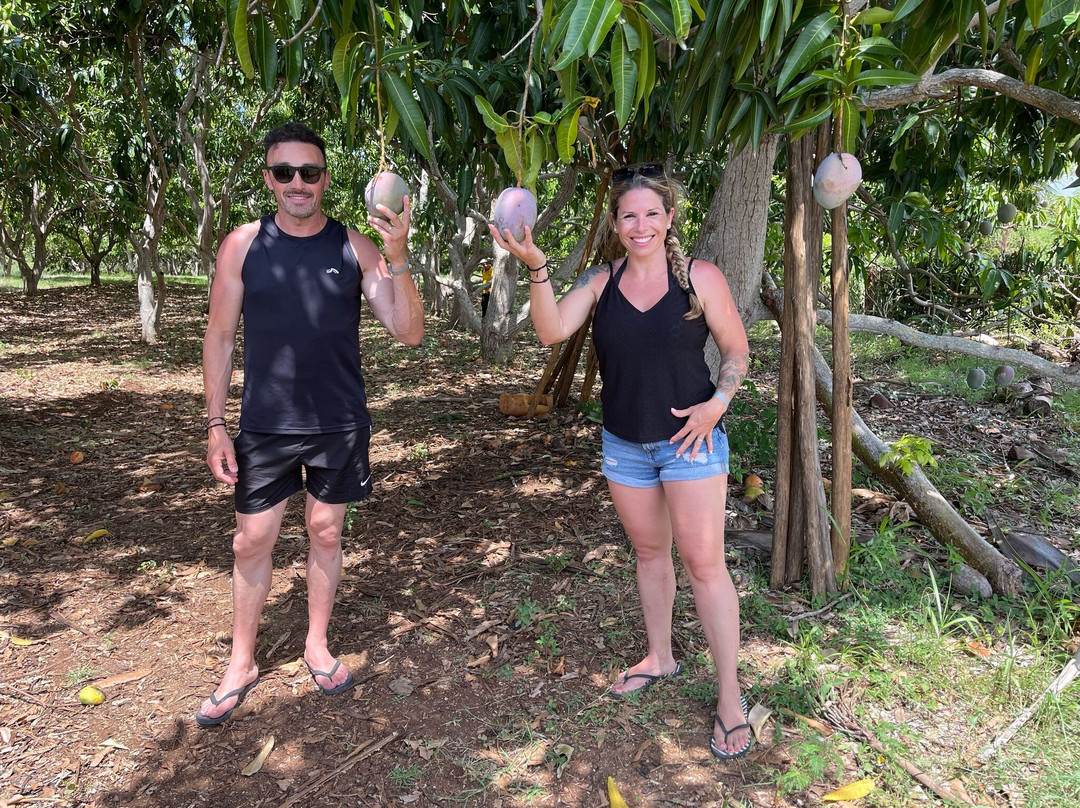 Finca agroecológica Resplandor Guasimas