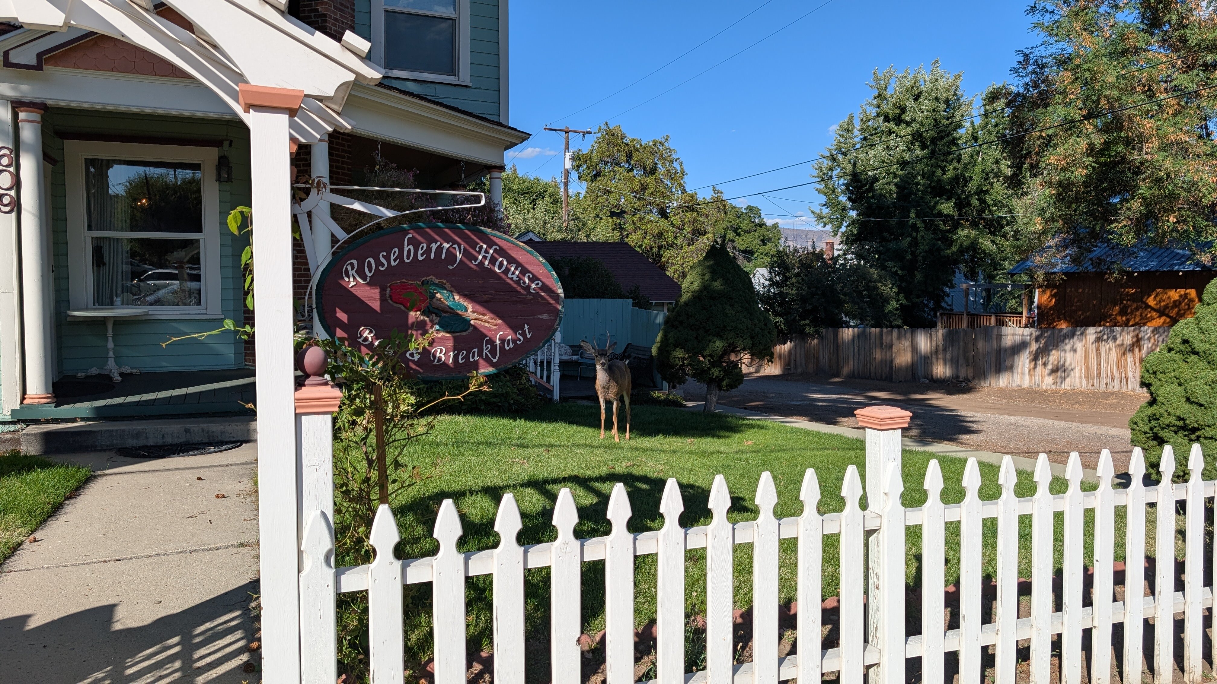 罗斯伯里豪斯住宿加早餐酒店-浴室