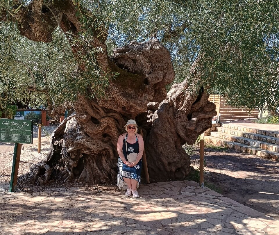 Peter Tours-Argassi必去景点