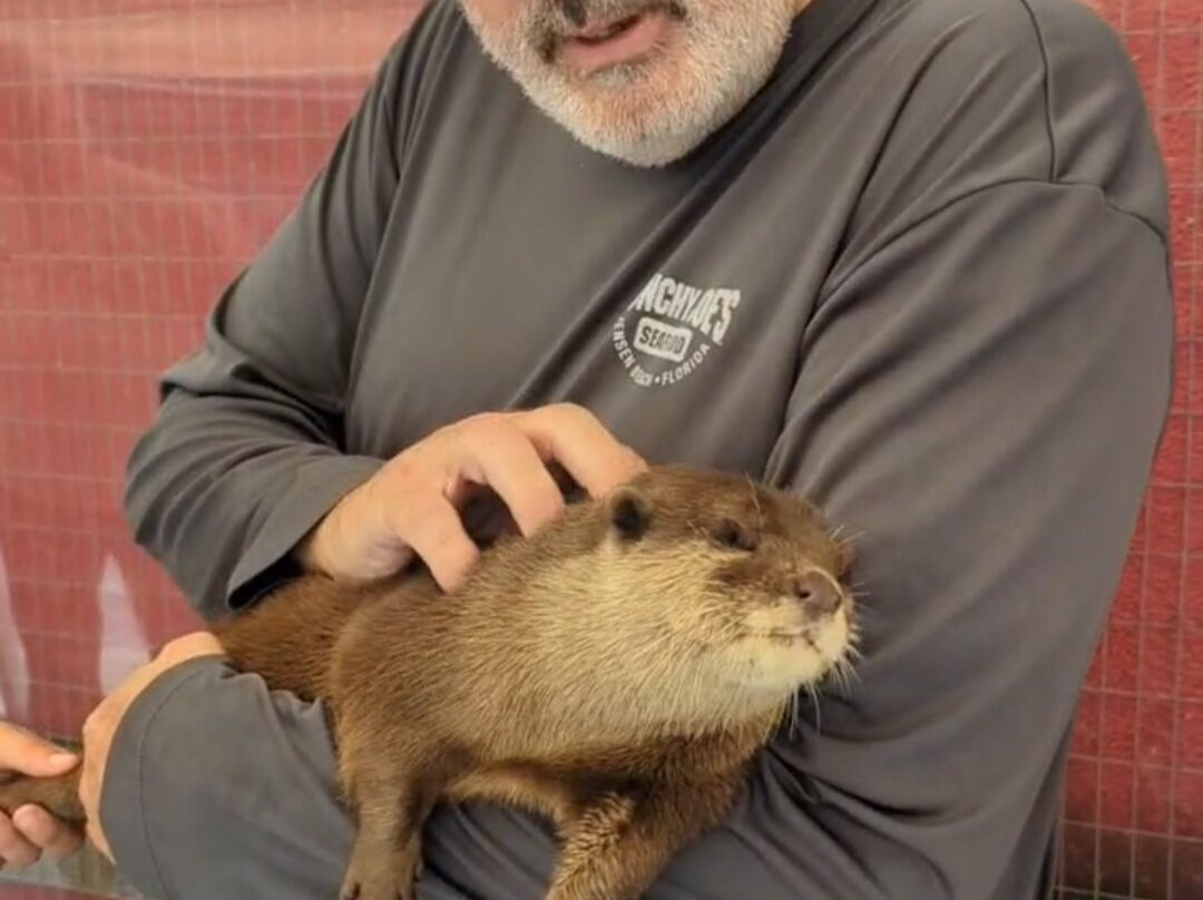 Animal EDventure Park & Safari-博因顿海滩必去景点