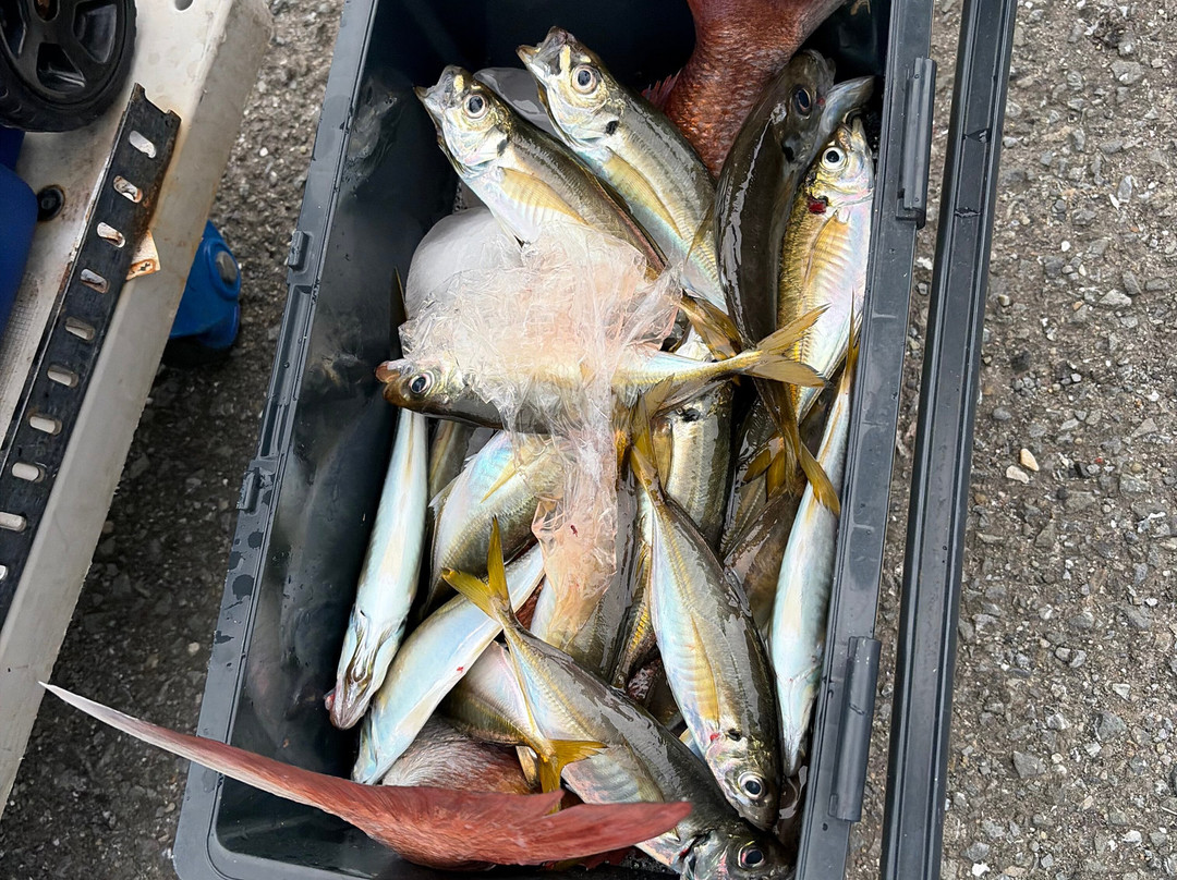 ATSUKU Japan Fishing Experience Host-Enoshima必去景点