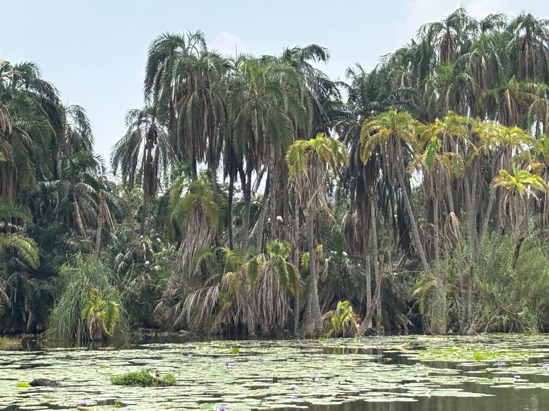 Burundi Discovery Tours-布松布拉必去景点