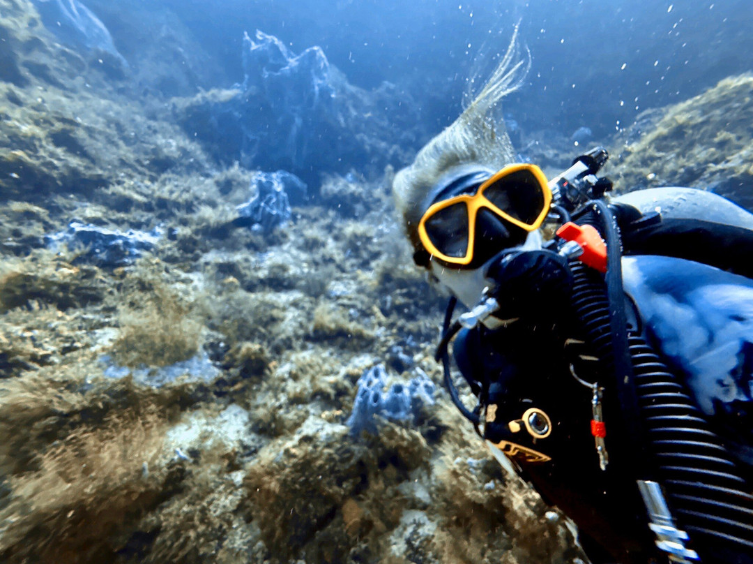 Wild Turtle Scuba Tobago Ltd.-Bon Accord必去景点