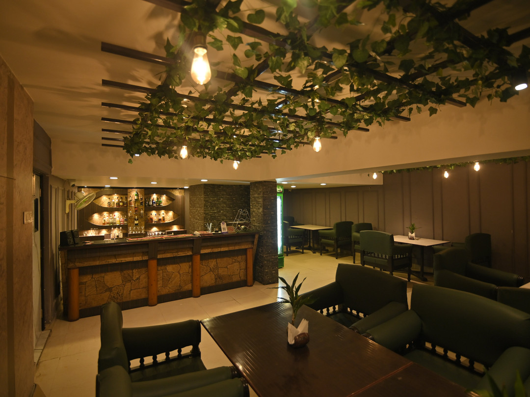 Hotel Dreamland Lataguri主图