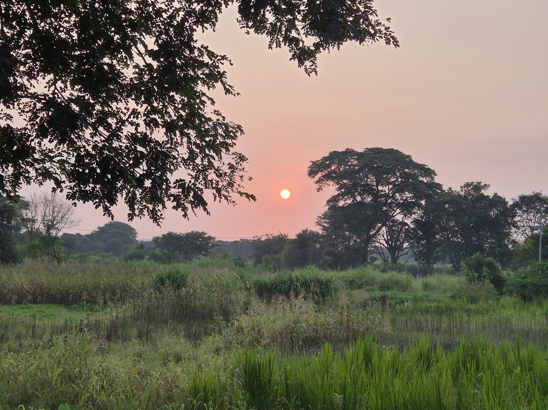 Lets Trip Cycle Tours-乌代布尔必去景点