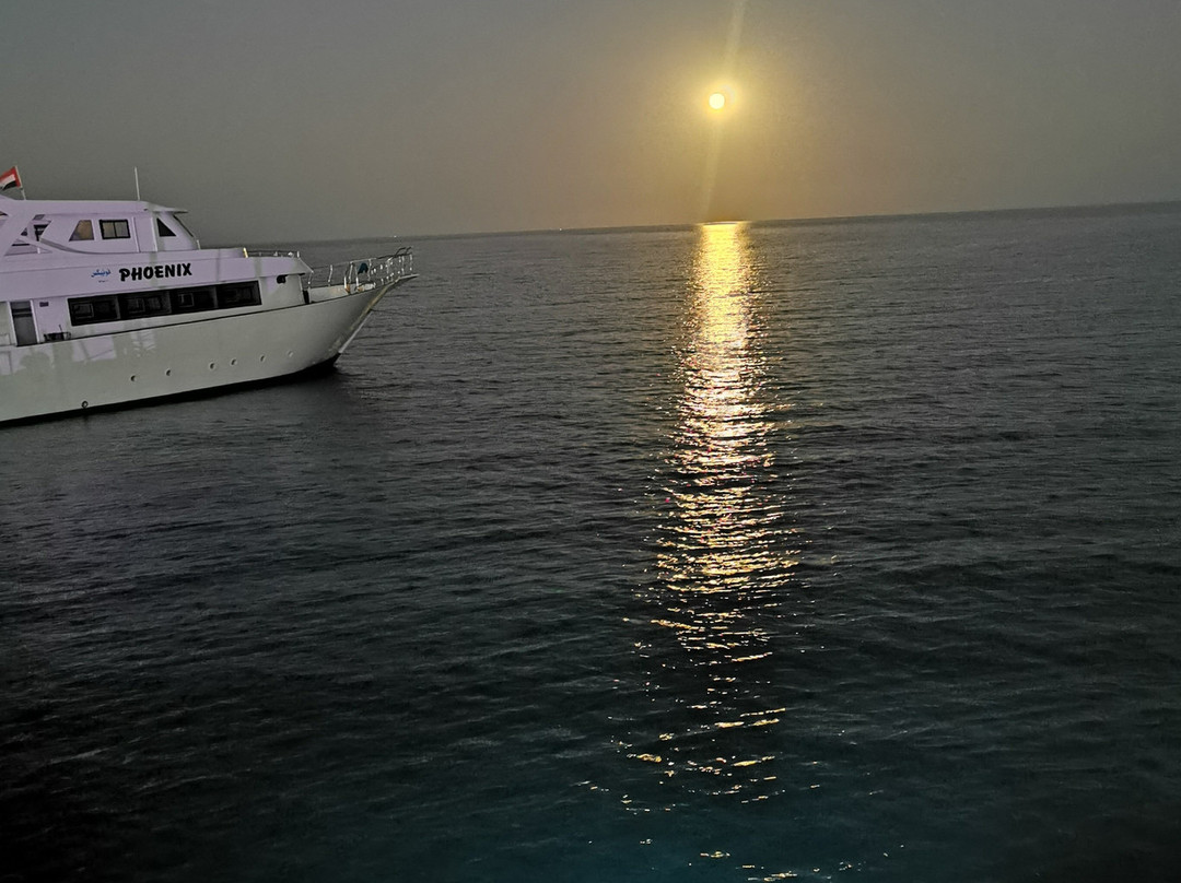 Orca Dive Club Safaga-Safaga必去景点