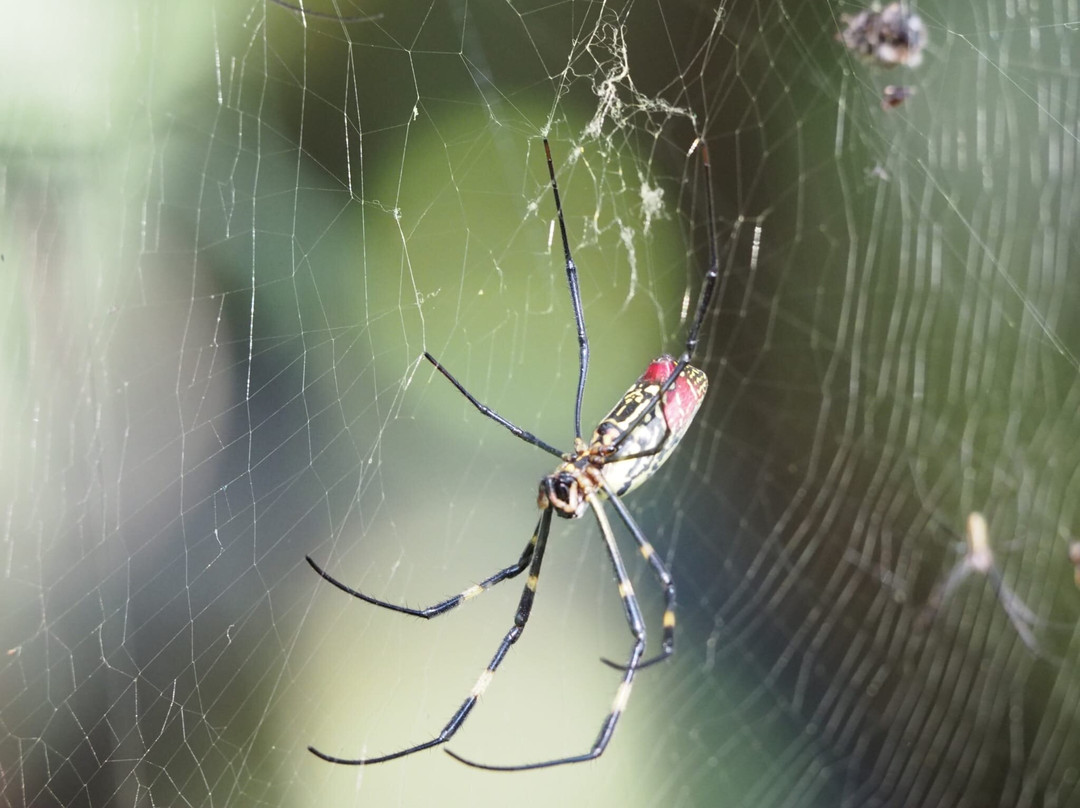 Bhaktapur Tour Guide-巴克塔布必去景点