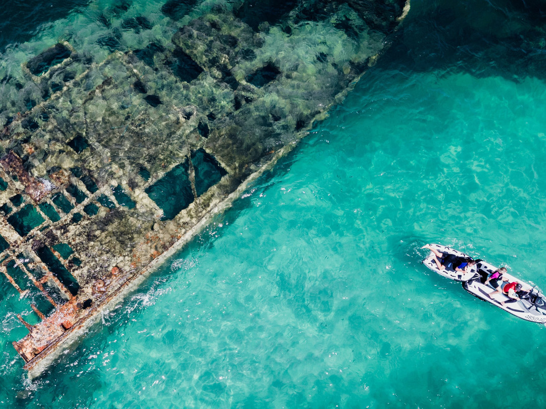 Dolphin Wild Island Cruises-布里斯班必去景点