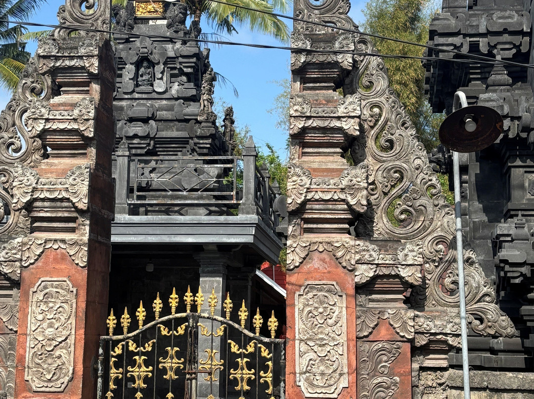 Best of Bali Tours-蓝梦岛必去景点