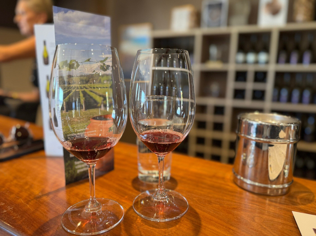 Savina Lane Wines-Severnlea必去景点