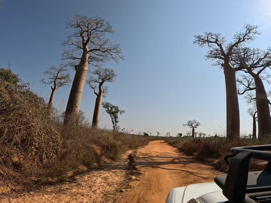 Madagascar Green Tours-安齐拉贝必去景点