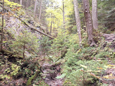 AAA Hiking & Outdoor Group-伦敦必去景点