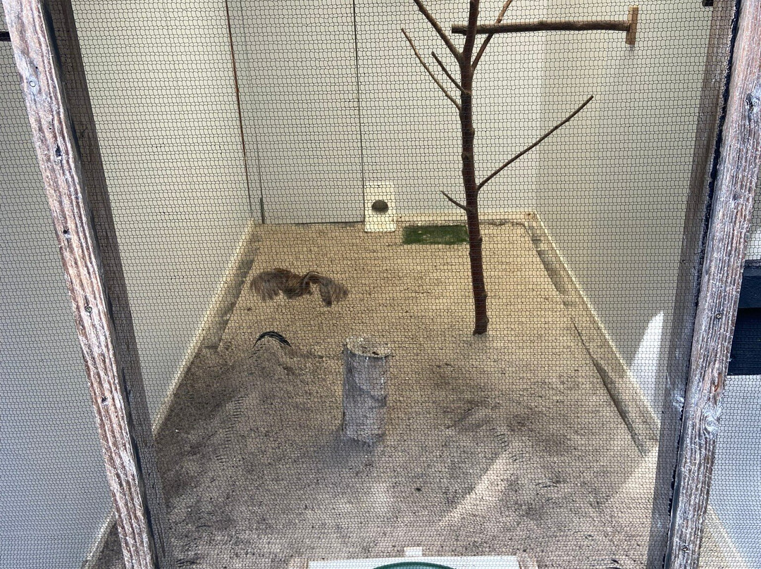 Loch Lomond Bird Of Prey Centre-Balloch必去景点
