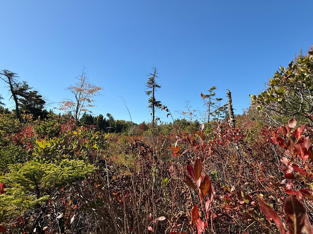 Isle au Haut Boat Services-Stonington必去景点
