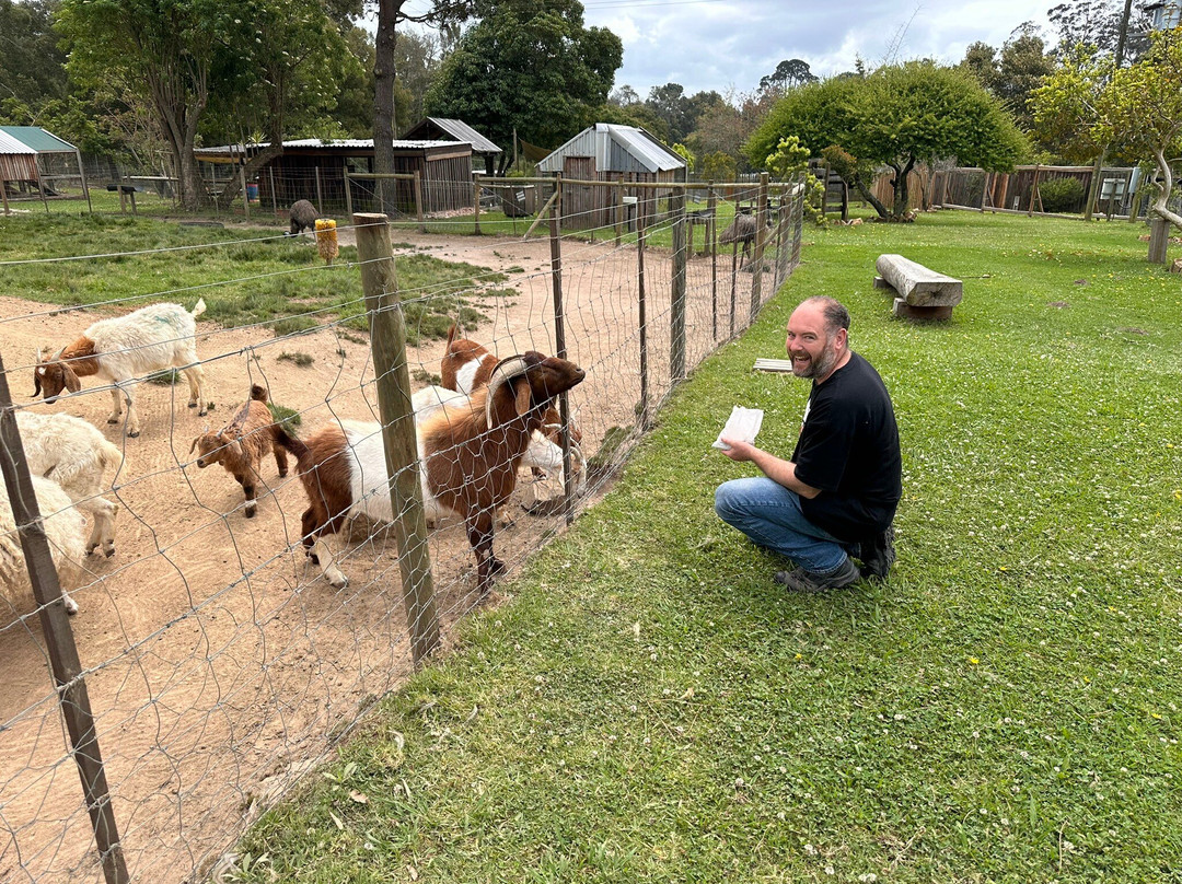 Garden Route Wolf Sanctuary-普利登堡湾必去景点