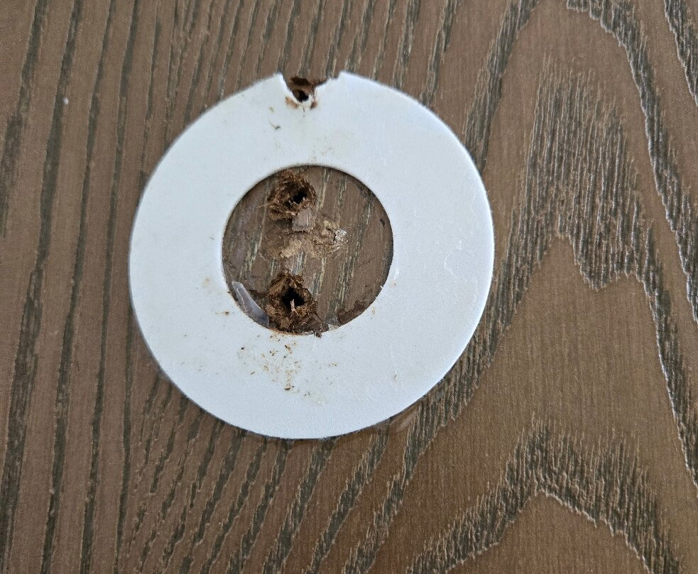 Super 8 by Wyndham Ashland主图