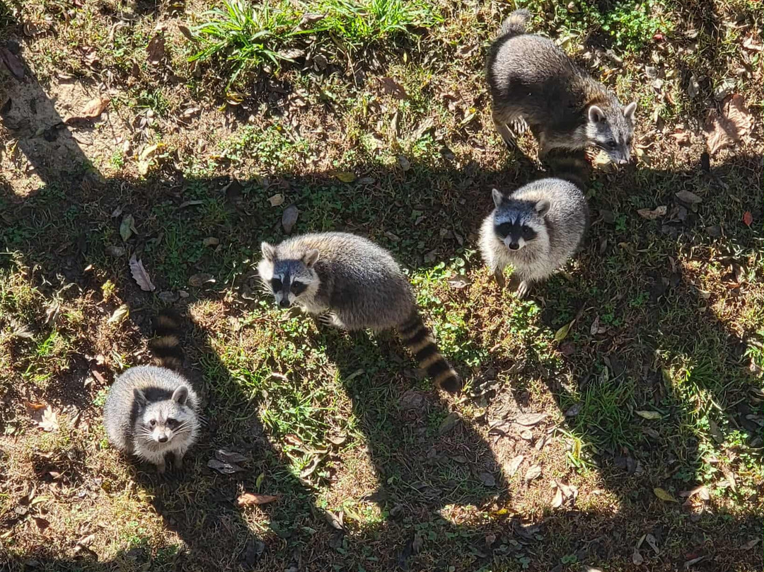 Super 8 by Wyndham Sevierville Riverside主图