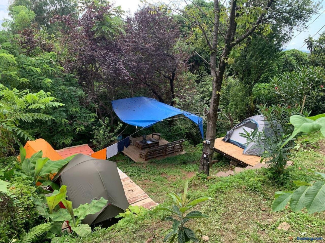Forest & Sea Campsite