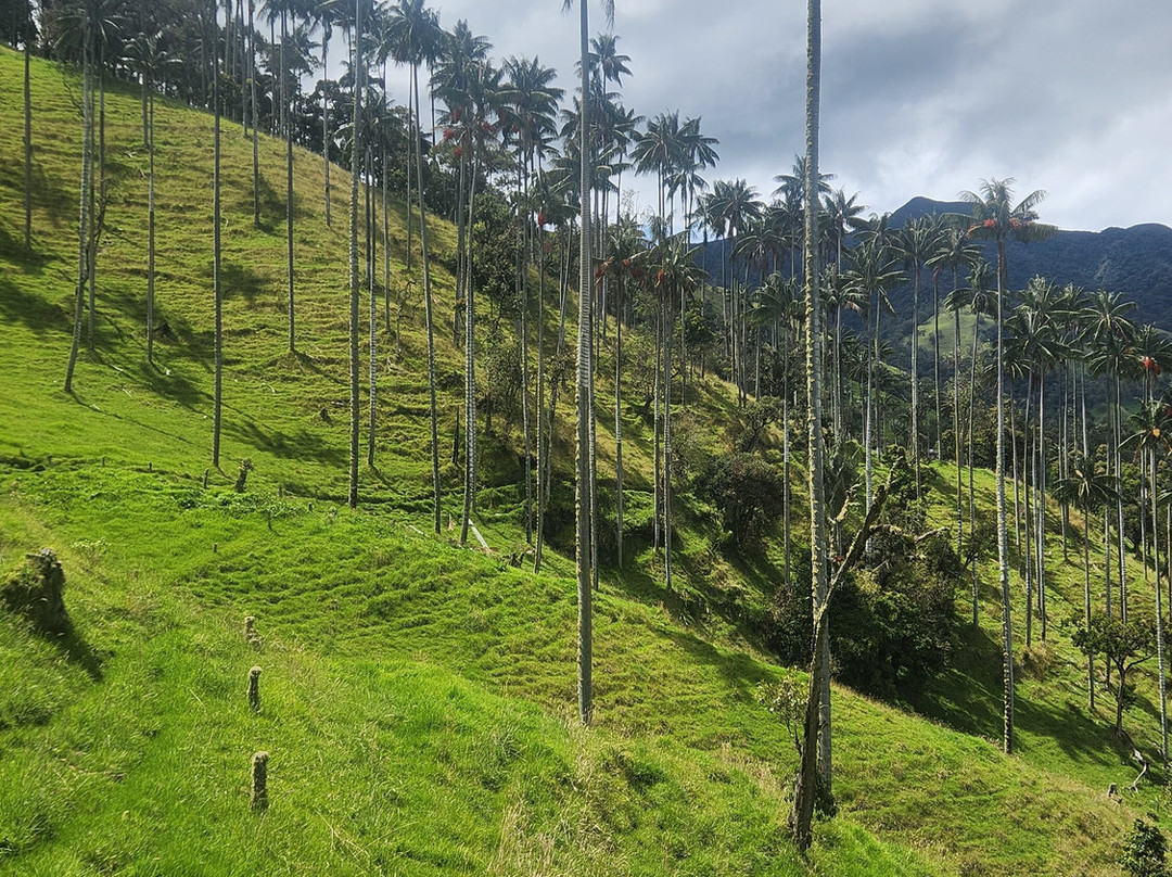 Andes Adventure-萨伦托必去景点
