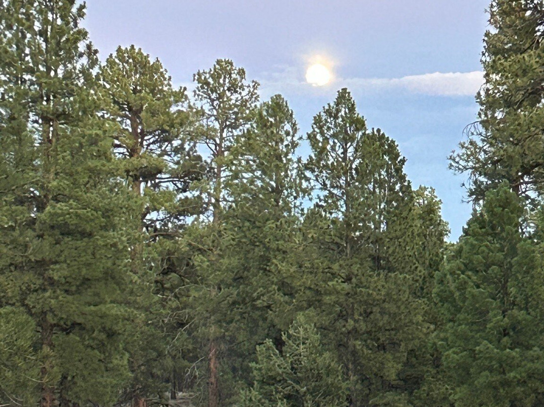 Kaibab National Forest-Jacob Lake必去景点