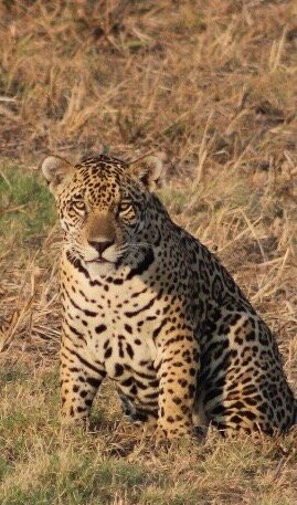 Nick's Adventures Bolivia-圣克鲁斯省必去景点