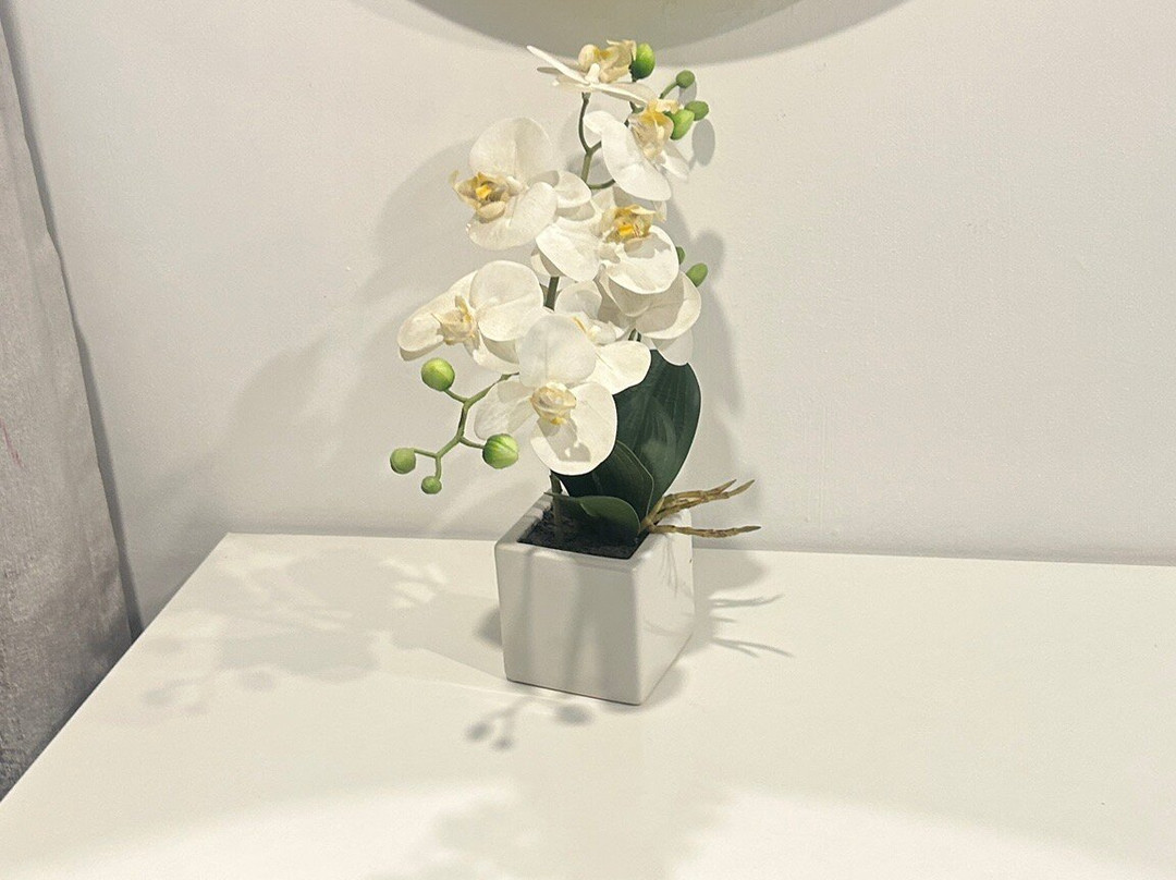 Hotel Corregidor主图