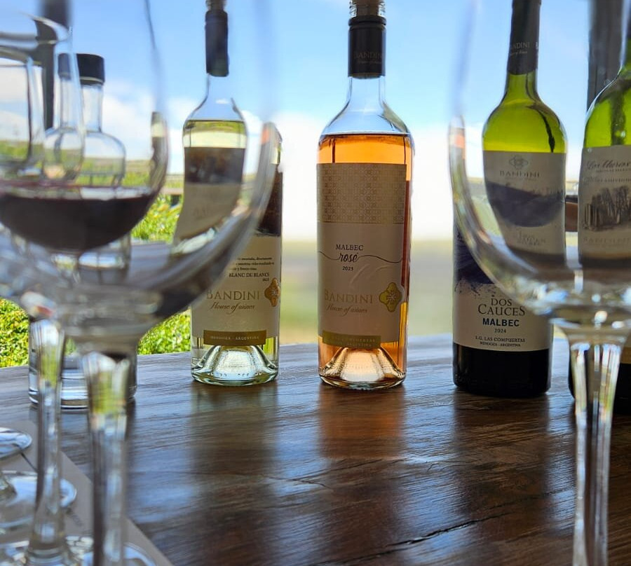 Finca Bandini-路冉得库约必去景点