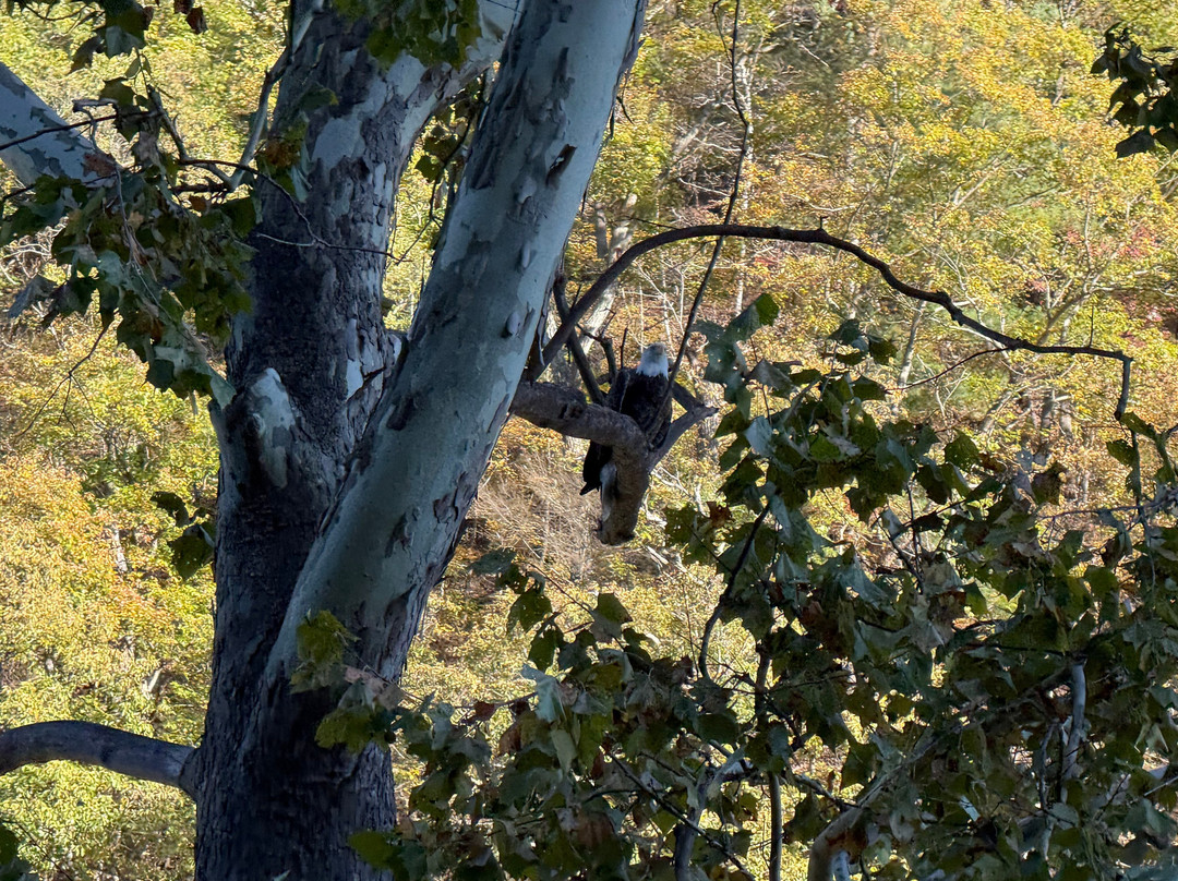 Potomac Eagle Scenic Railroad-Romney必去景点