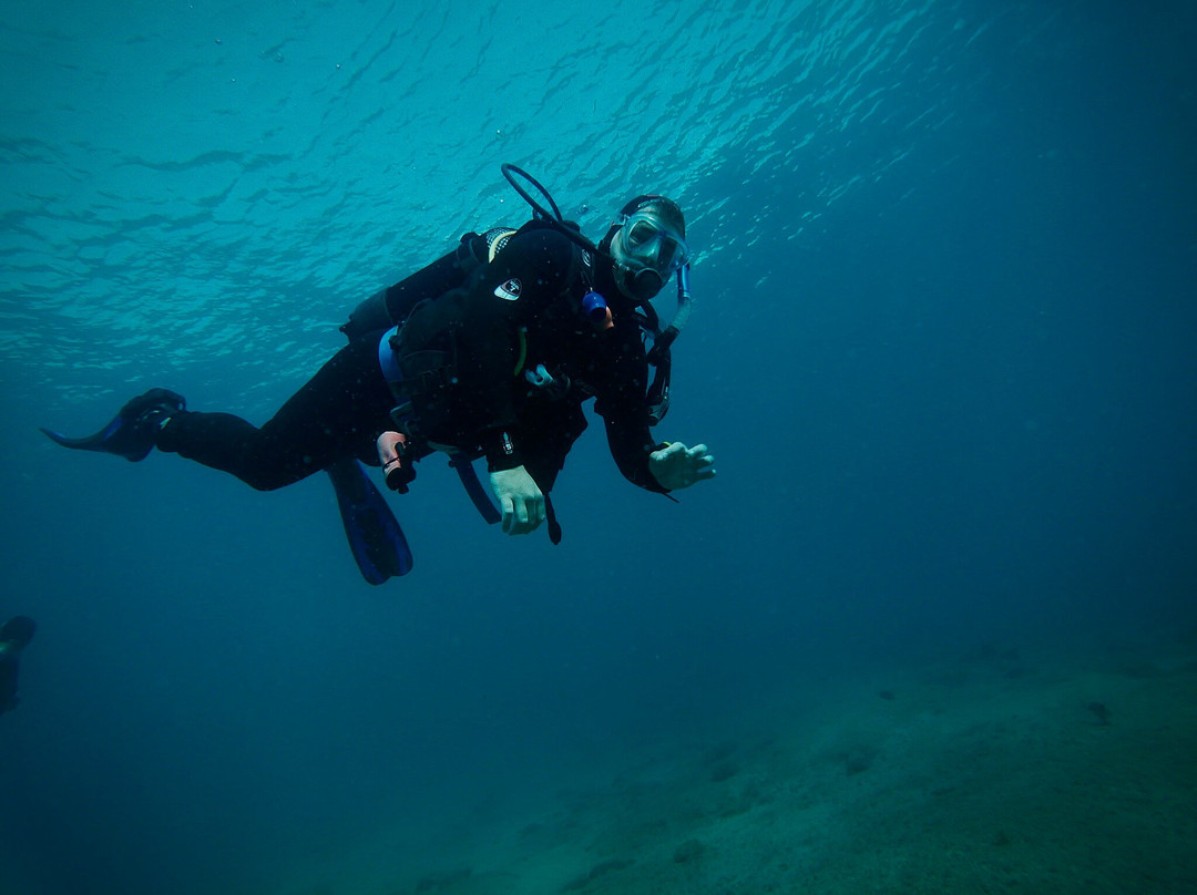 Puerto Rico Diving-波多黎各必去景点
