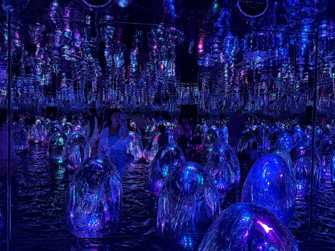 teamLab Phenomena Abu Dhabi-阿布扎比必去景点