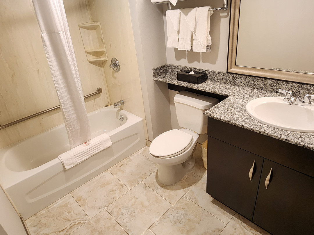 Comfort Inn & Suites主图