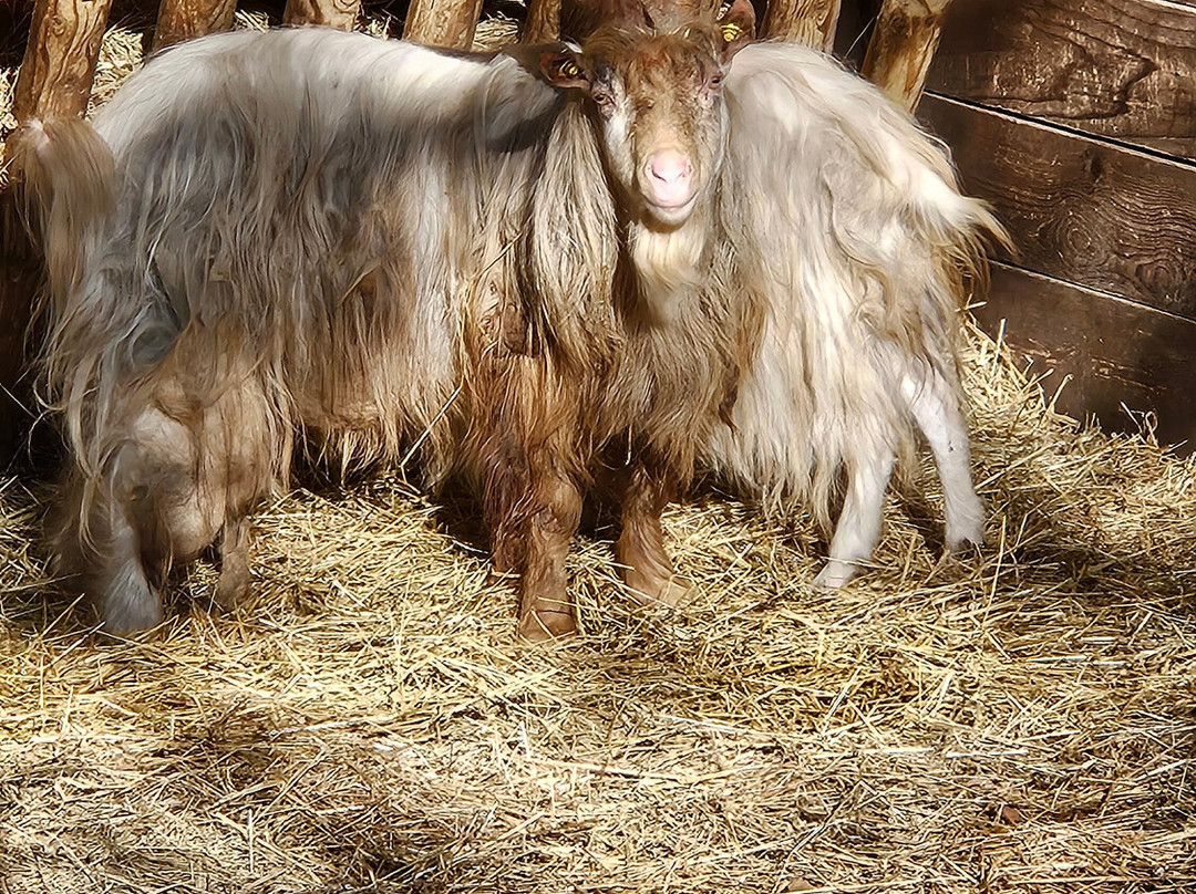 Park Pallavicino-斯特雷萨必去景点
