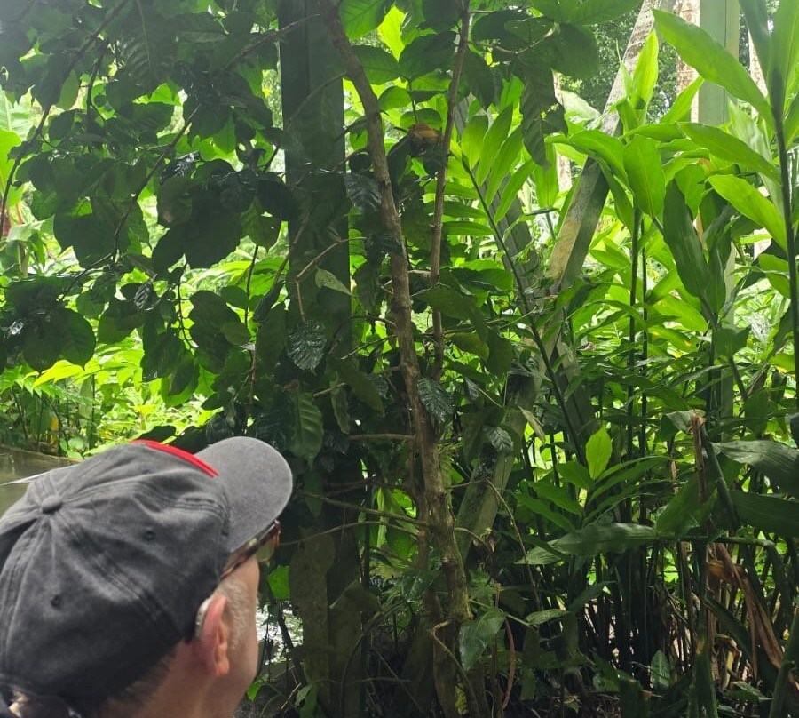 ConchalFun-孔查沙滩必去景点