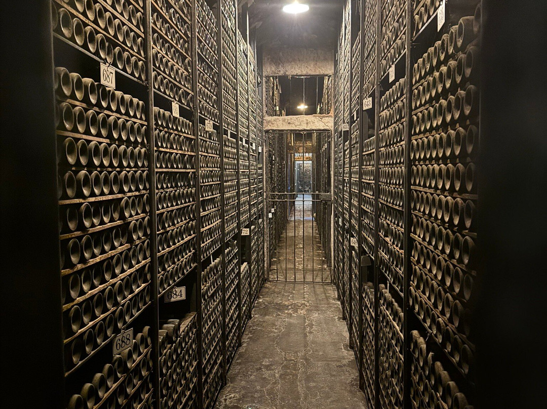 Bodegas Marques de Riscal-Elciego必去景点