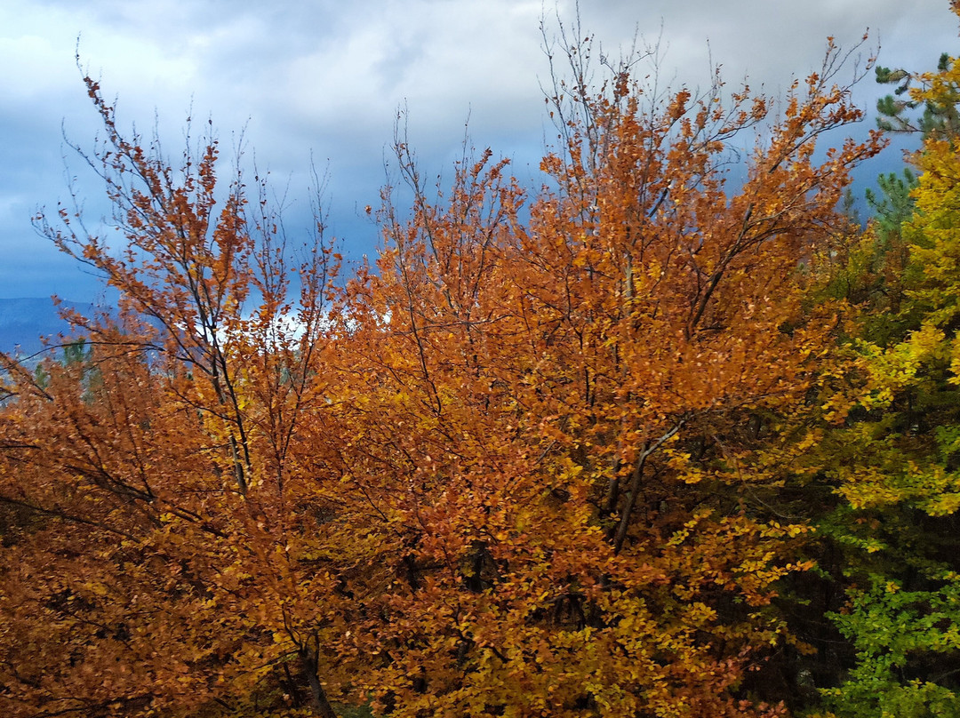 Transiberiana d'Italia-苏尔莫纳必去景点