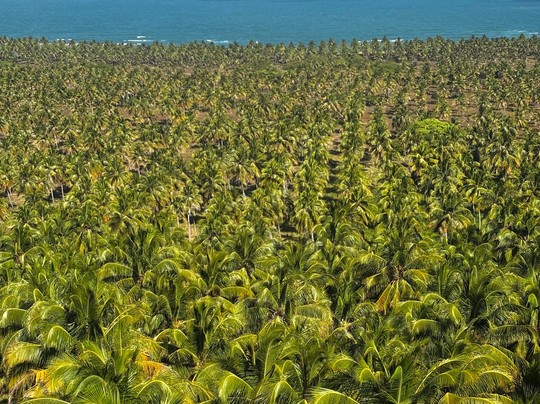 Maceió Dreams Tour-Maceio必去景点