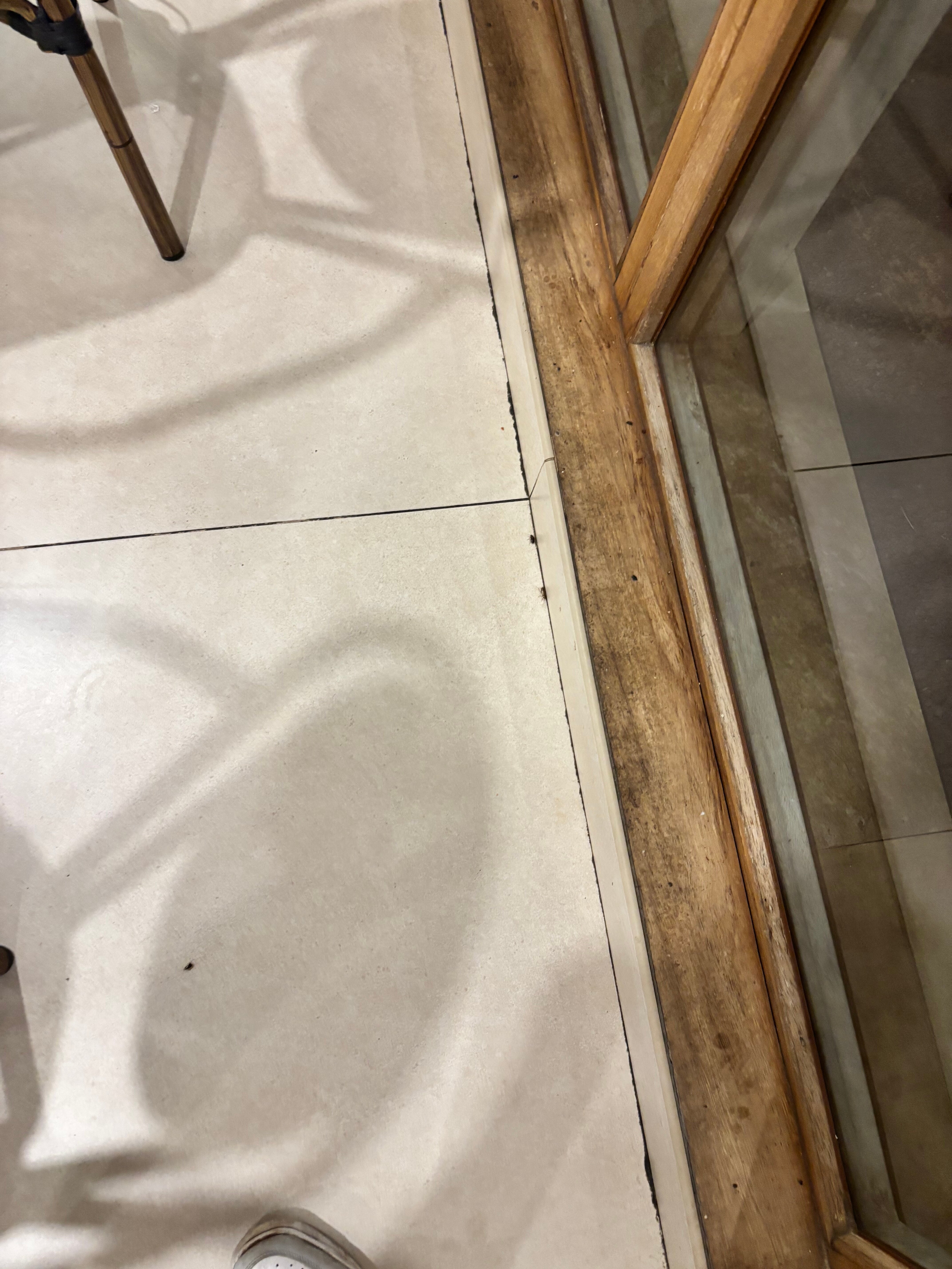 Fuerteventura Origo Mare Resort-官方