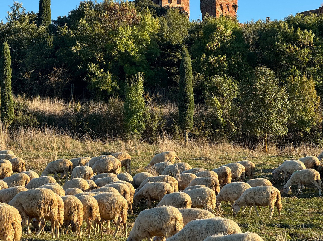 Fratelli Farina Azienda Agricola-阿夏诺必去景点