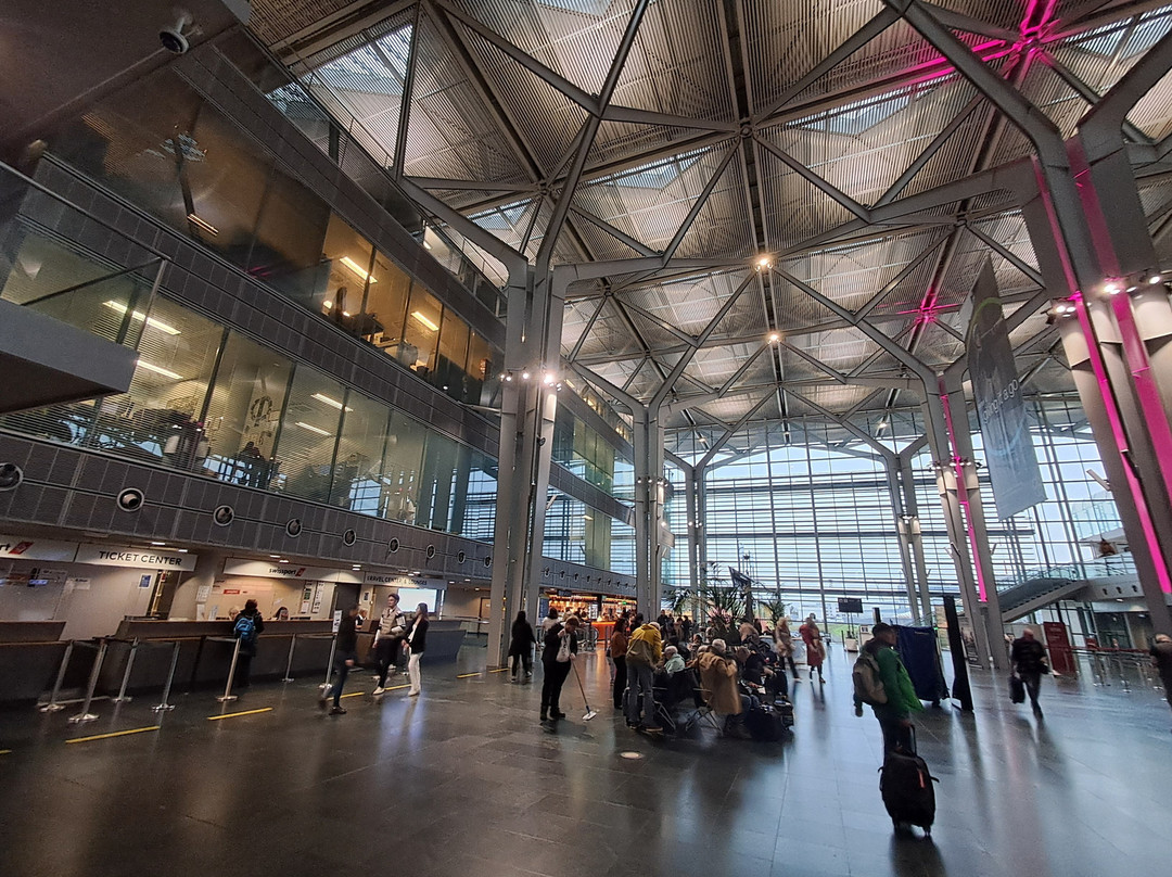 Euroairport Basel-Mulhouse-Freiburg-圣路易斯必去景点