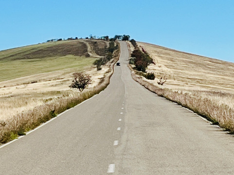 Georgia guide driver-第比利斯必去景点