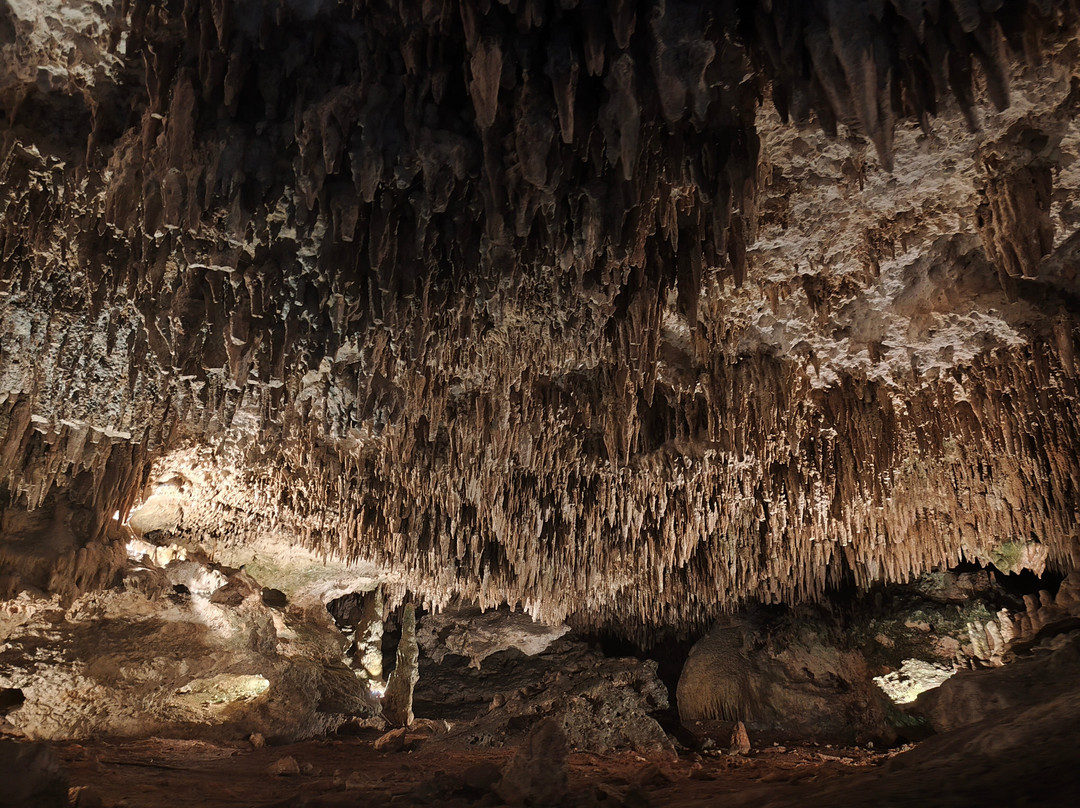 Hotel Xcaret Arte主图