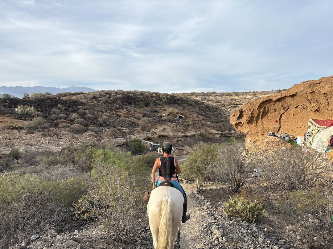 Hipica Cuadras El Medano-El Medano必去景点