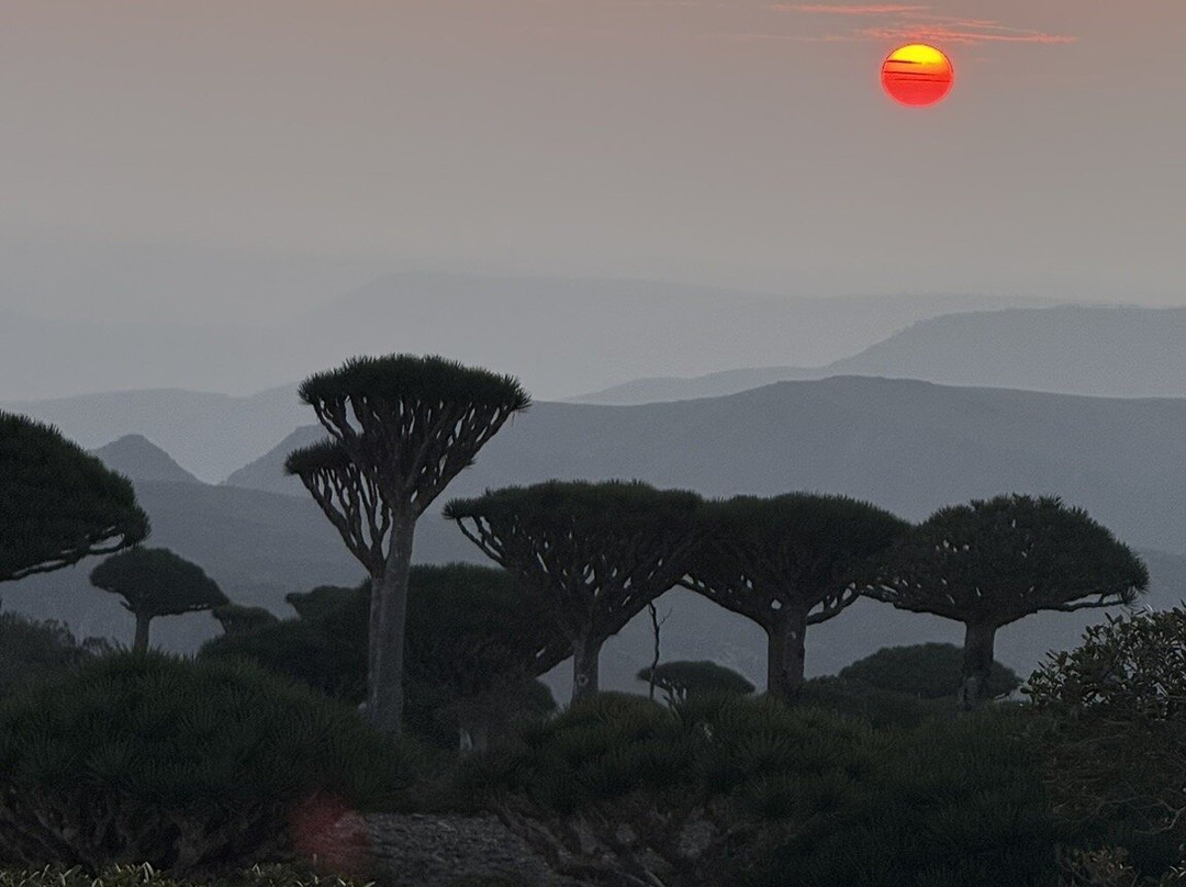 Wild Spirit Socotra-Hadiboh必去景点