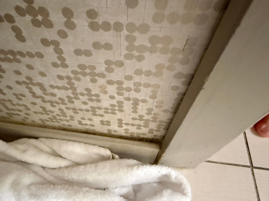 Home2 Suites by Hilton Warner Robins主图