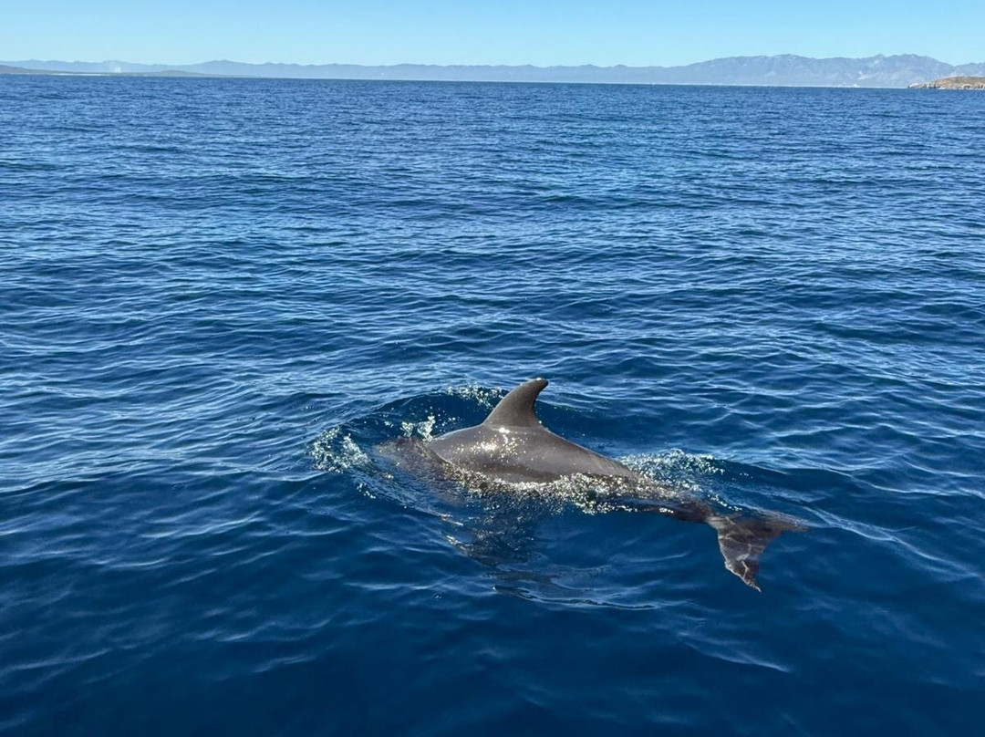Agua Salada-La Ventana必去景点