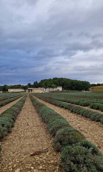 Domaine Des Lauribert-Visan必去景点