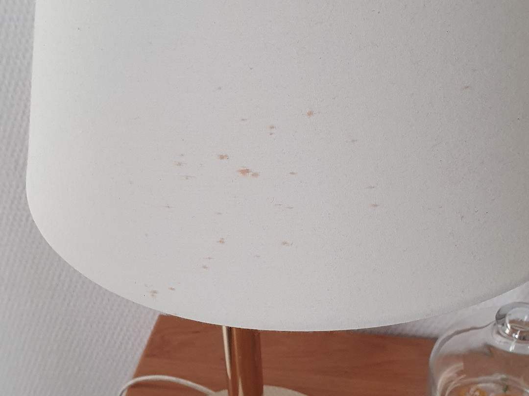 Precise Resort Rügen主图