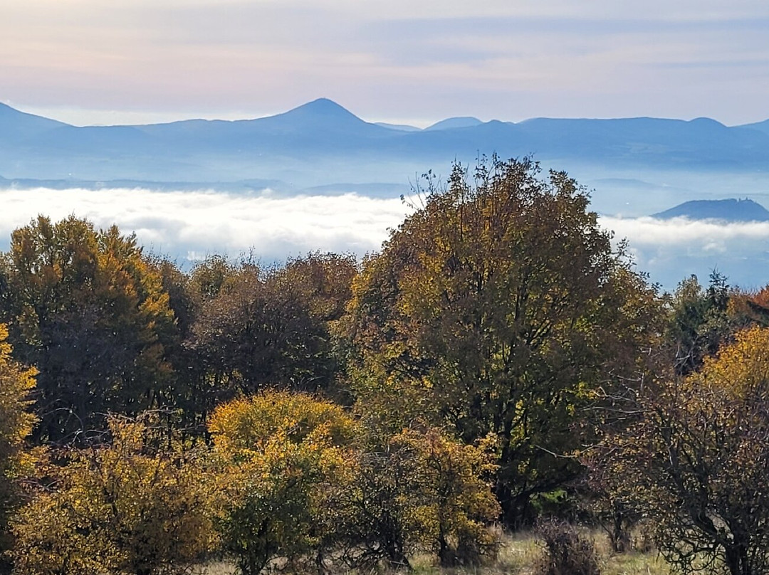 Hotel Zum Baren主图