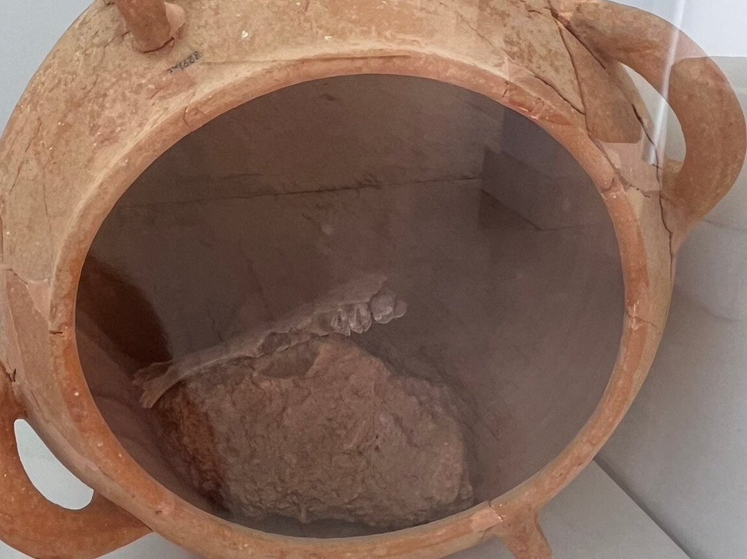 Archaeological Museum of Sitia-Sitia必去景点